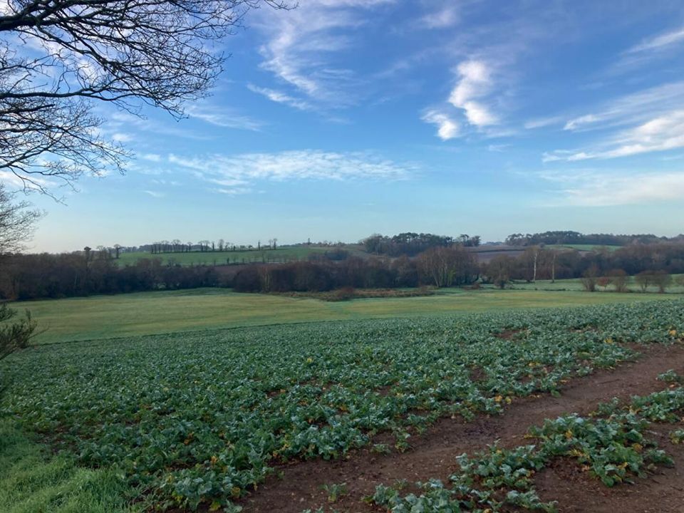Helårsgrund i Pluvigner, Morbihan - foto 1