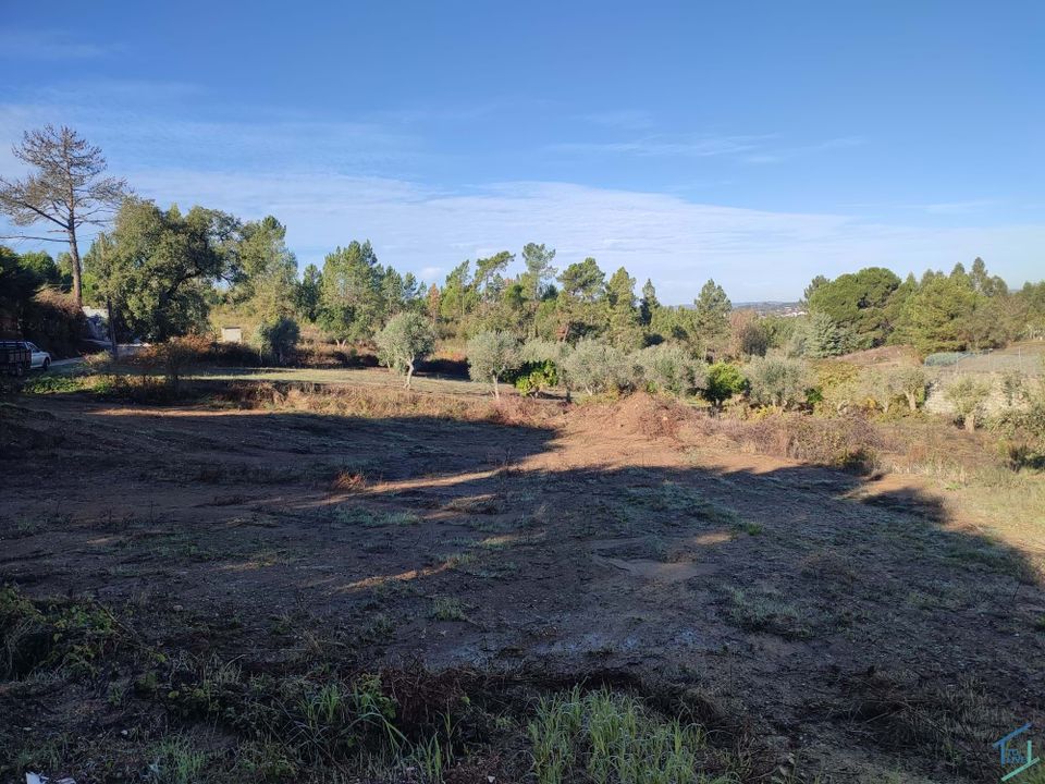 Helårsgrund i Asseiceira, Santarem - foto 3