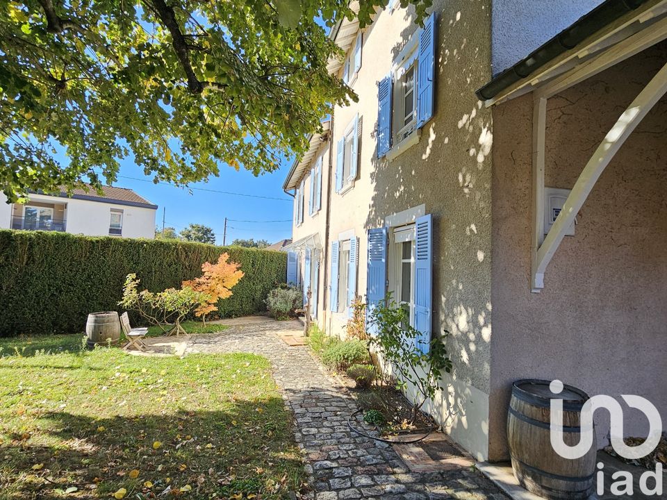 Landsbyhus i Mionnay, Ain - foto 1