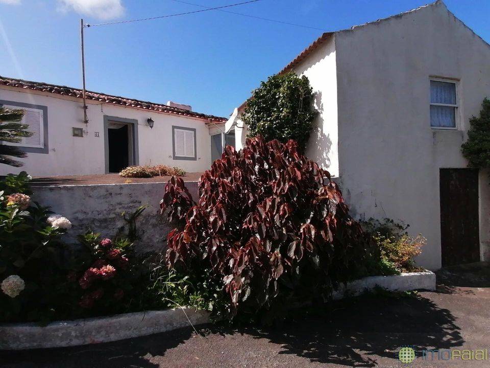 Byhus i Horta, Faial - foto 1