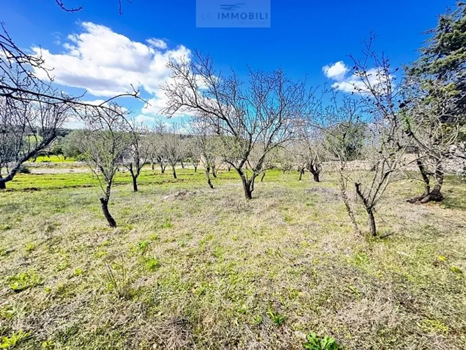 Helårsgrund i Ostuni, Brindisi - foto 3