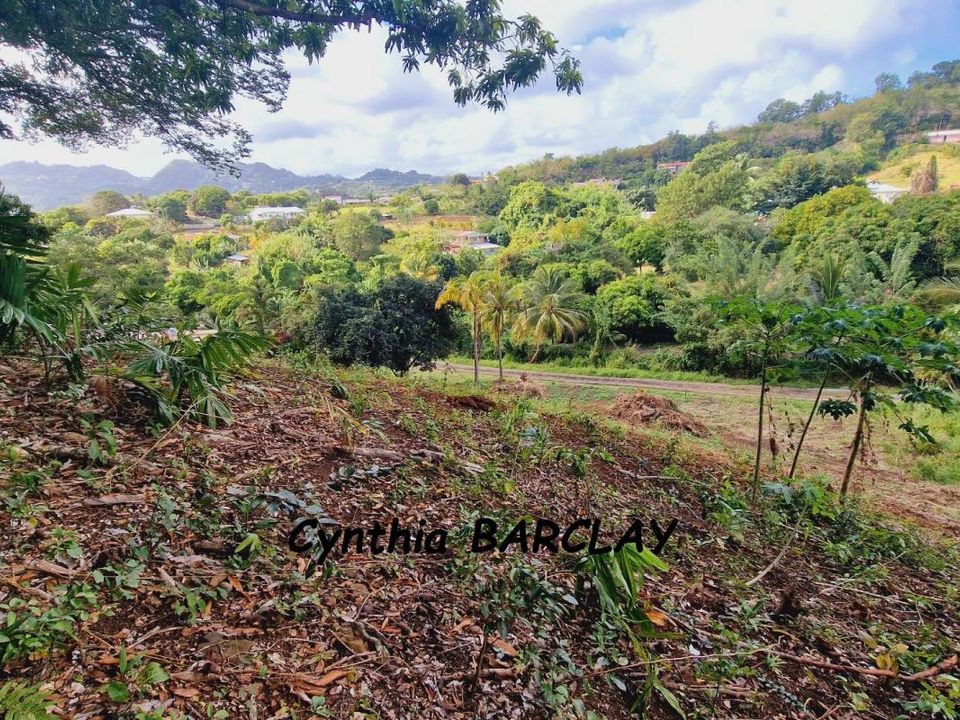 Helårsgrund i Le Frasnois, Martinique - foto 3