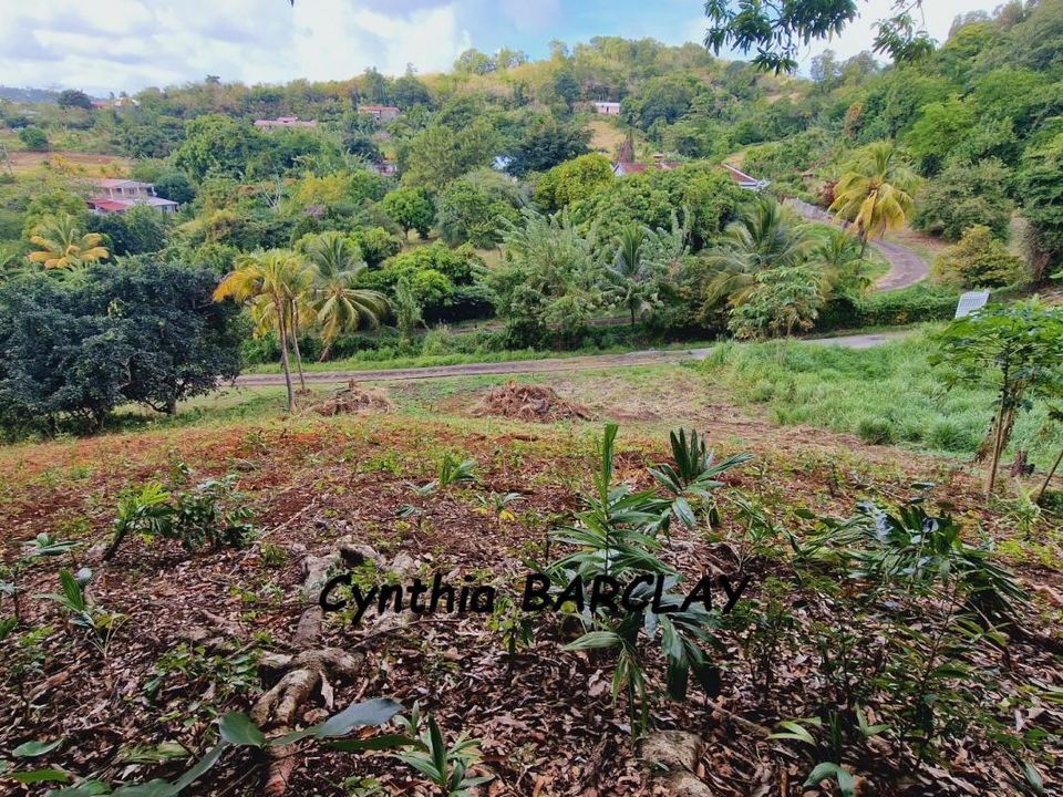 Helårsgrund i Le Frasnois, Martinique - foto 4