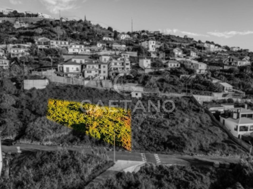Villa i Ribeira Brava, Madeira - foto 5