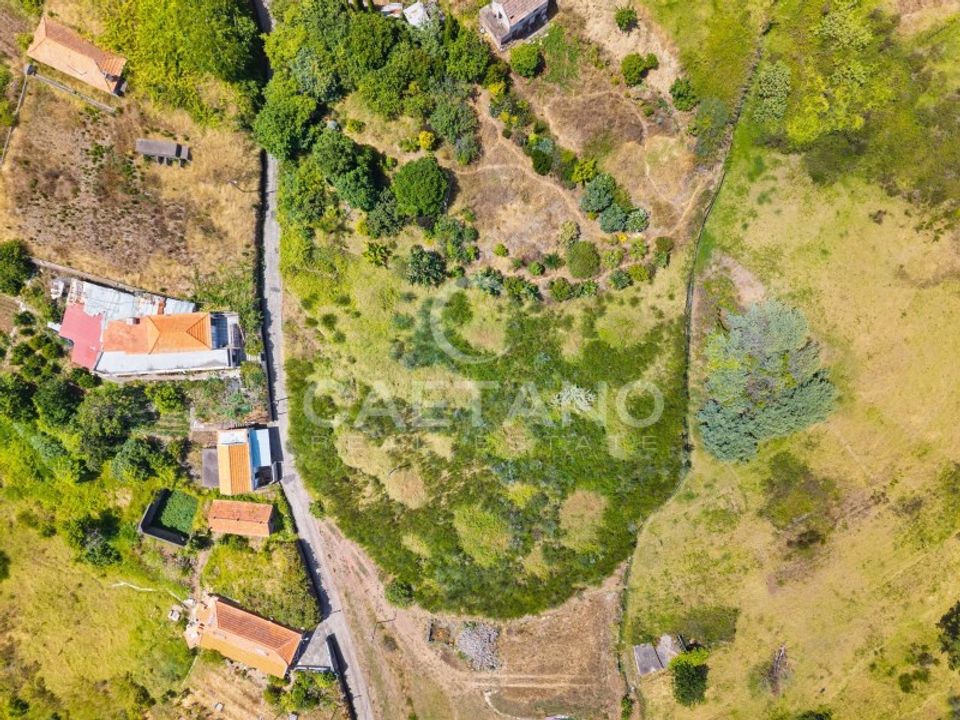 Tomt i Calheta, Madeira - bilde 5
