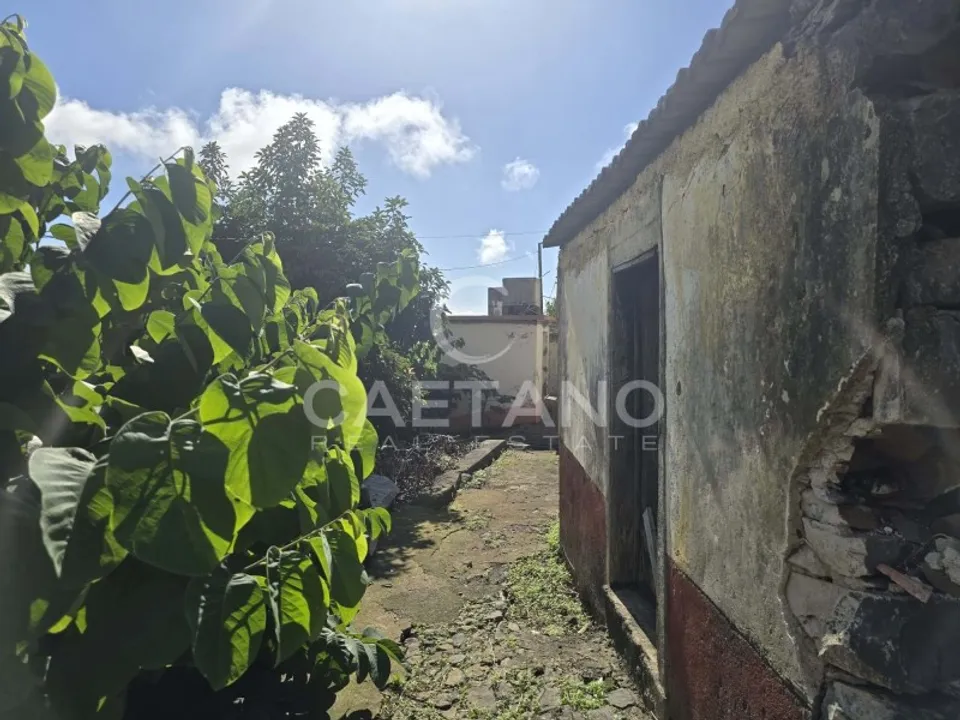 Helårsgrund i Ponta do Sol, Madeira - foto 2