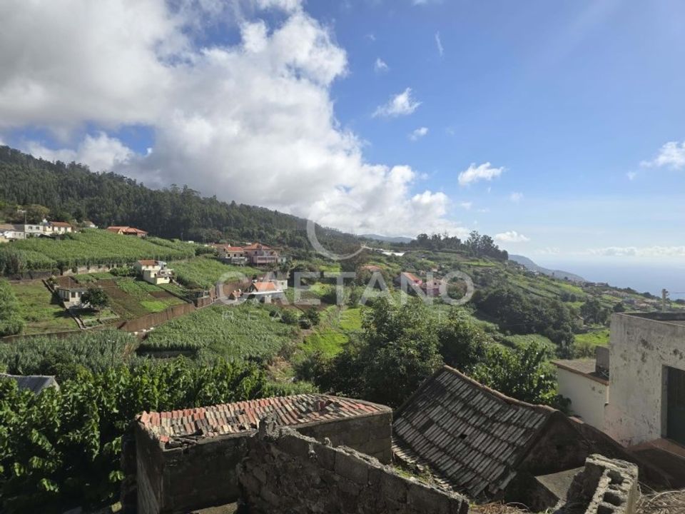 Helårsgrund i Ponta do Sol, Madeira - foto 3