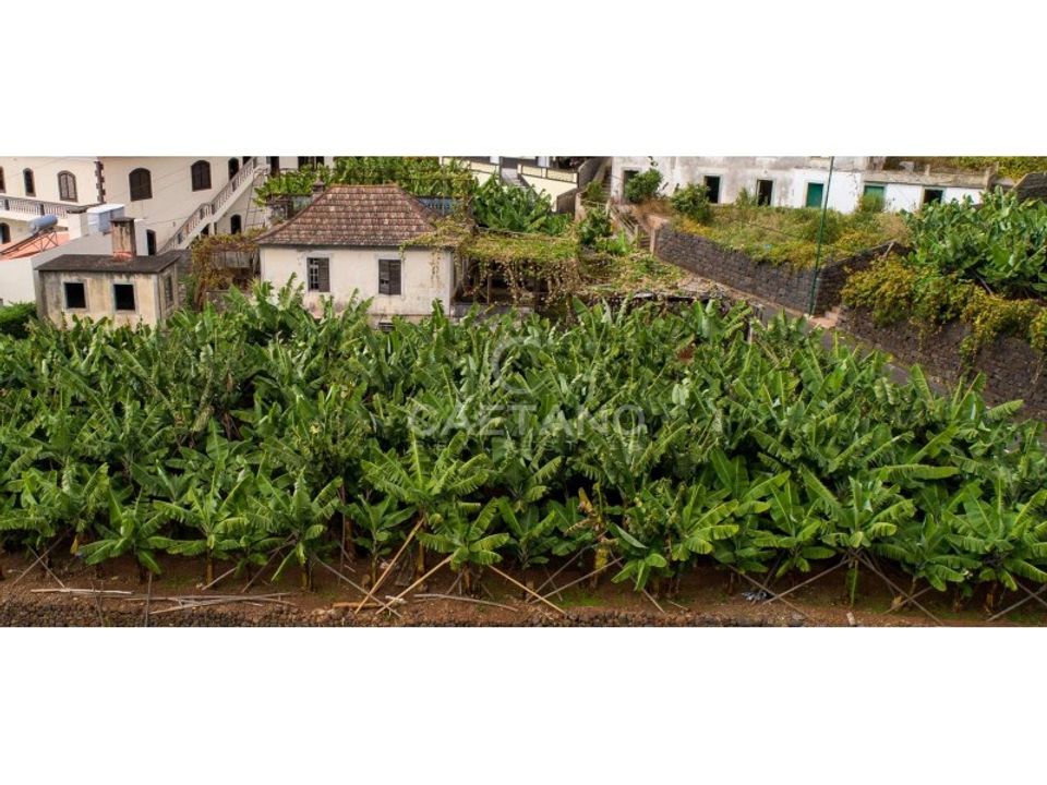 Villa i Arco da Calheta, Madeira - foto 3
