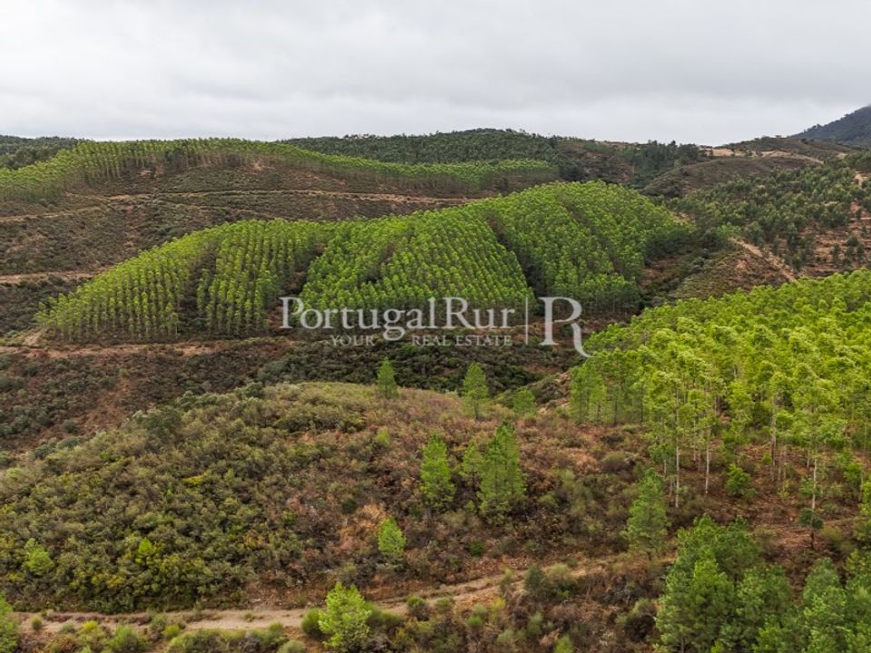 Helårsgrund i Nisa, Portalegre - foto 2