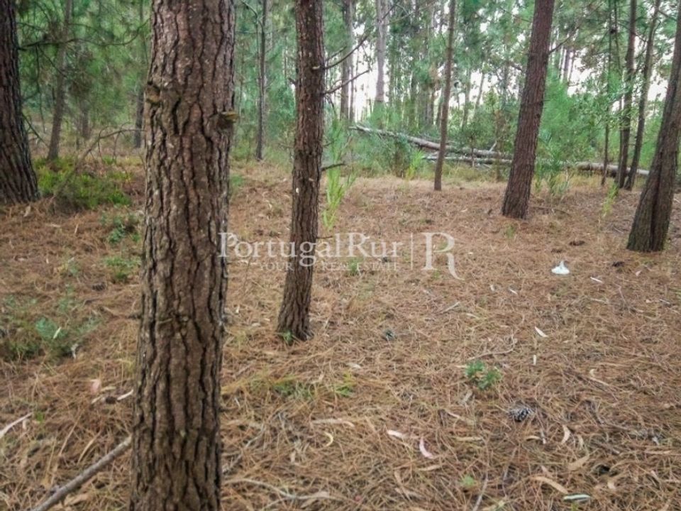 Helårsgrund i Rogil, Faro - foto 2