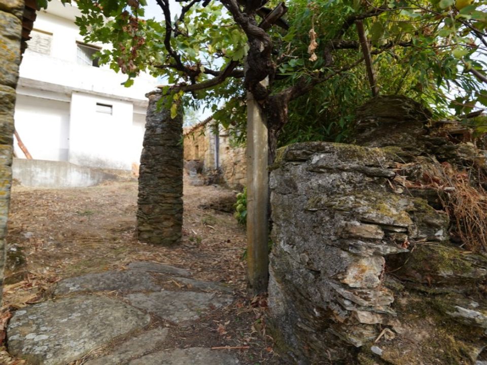 Farm i Castelo Branco, Castelo Branco - foto 5