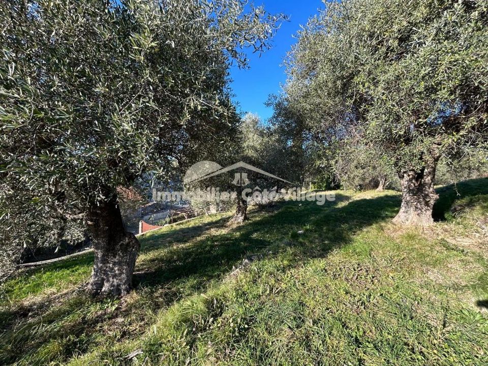 Helårsgrund i Drap, Alpes-Maritimes - foto 2