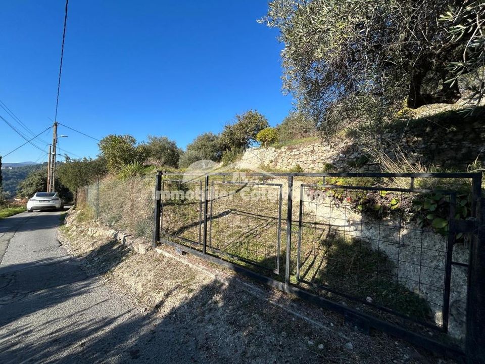 Helårsgrund i Drap, Alpes-Maritimes - foto 3