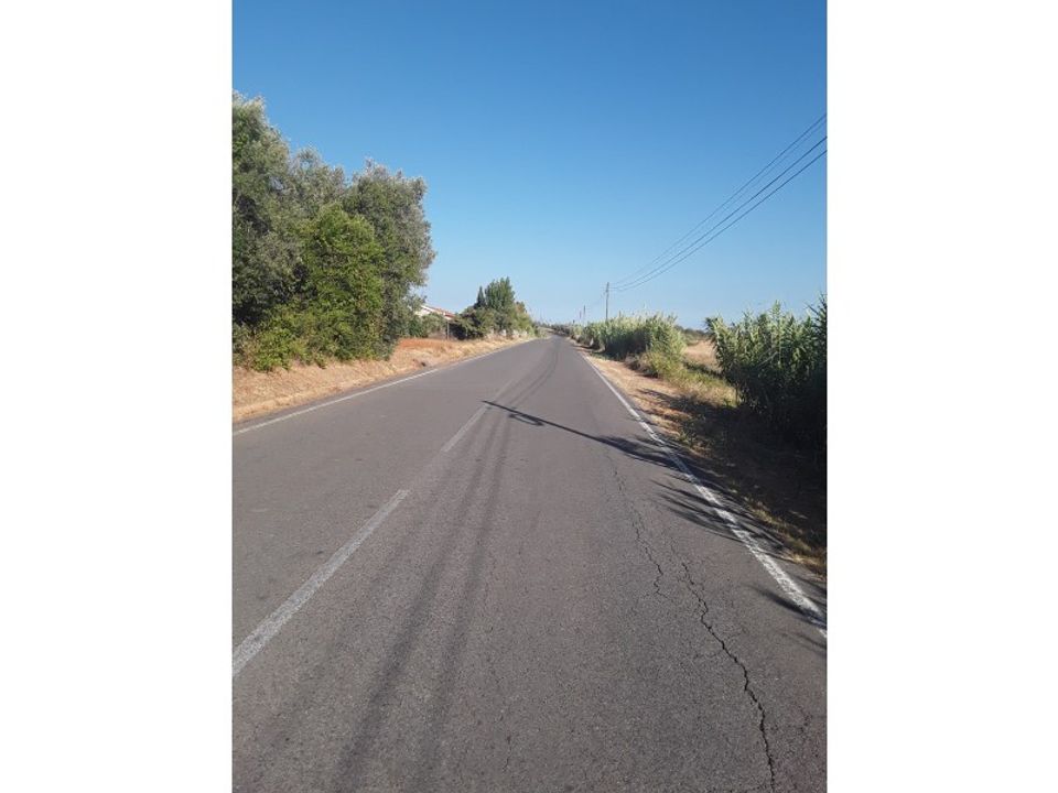 Tomt i Cartaxo, Santarem - bilde 3