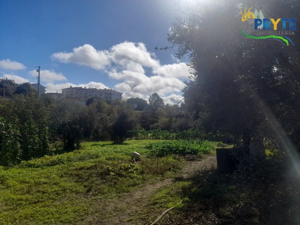 Helårsgrund i Proenca-a-Nova, Castelo Branco - foto 1