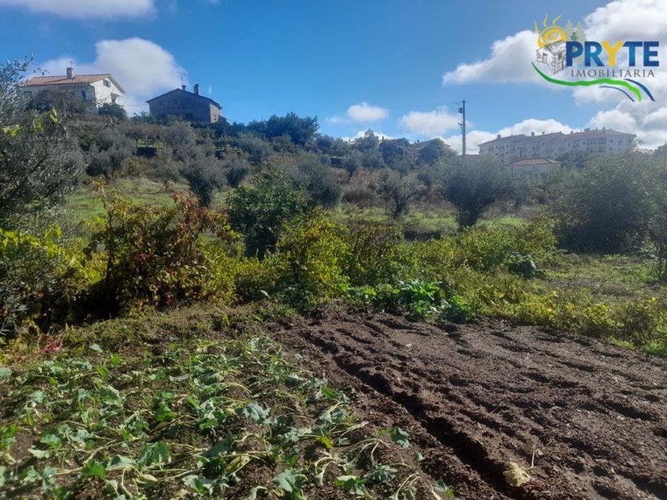 Helårsgrund i Proenca-a-Nova, Castelo Branco - foto 2