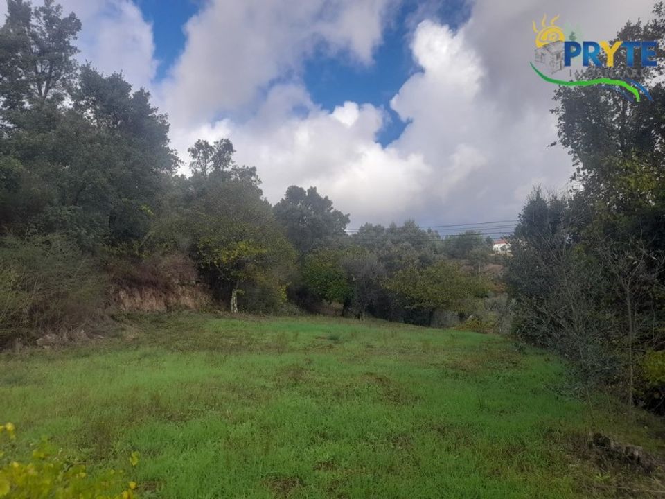 Helårsgrund i Proenca-a-Nova, Castelo Branco - foto 4