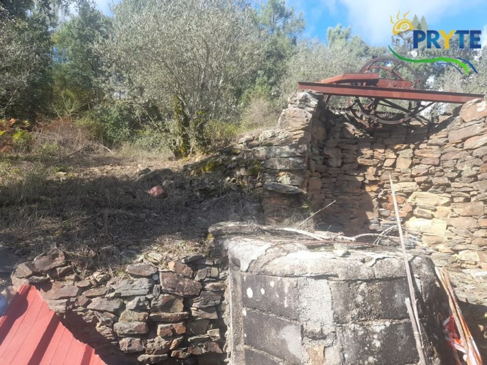 Helårsgrund i Proenca-a-Nova, Castelo Branco - foto 5