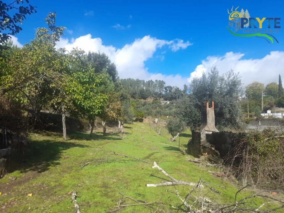 Ruinere i Proenca-a-Nova, Castelo Branco - foto 5