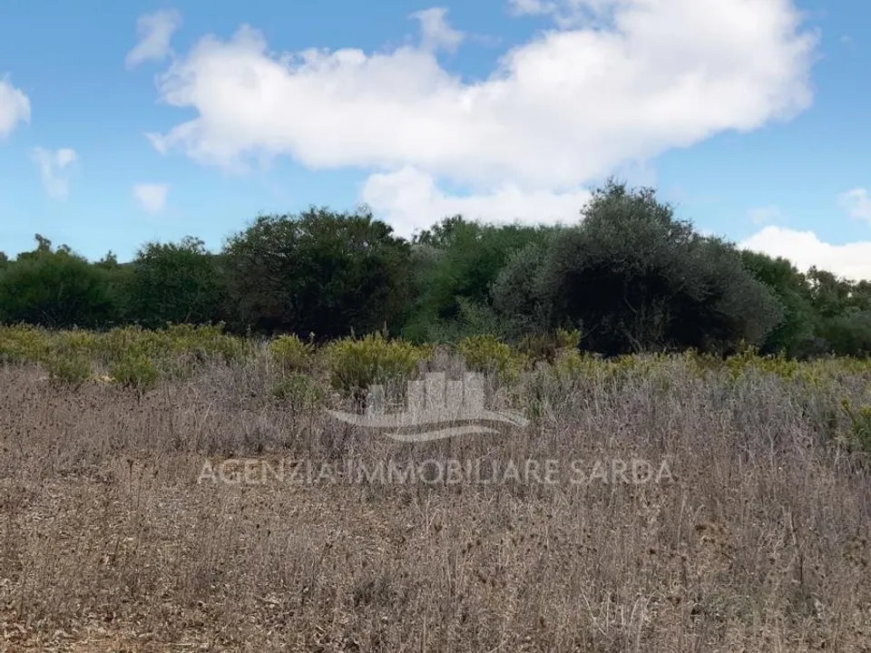 Villa a Alghero, Sassari - foto 4