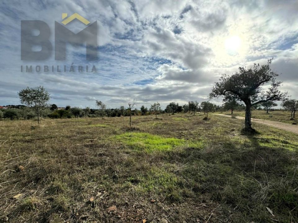 Terra a Ninho do Acor, Castelo Branco - foto 3