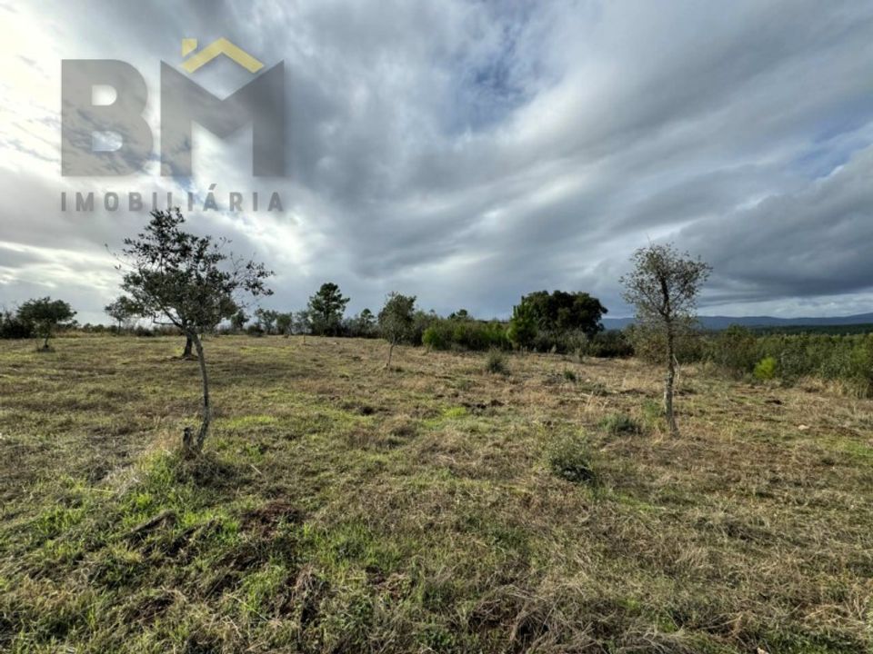 Terra a Ninho do Acor, Castelo Branco - foto 5