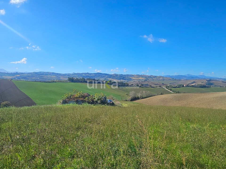 Villa i Montecarotto, Ancona - foto 2