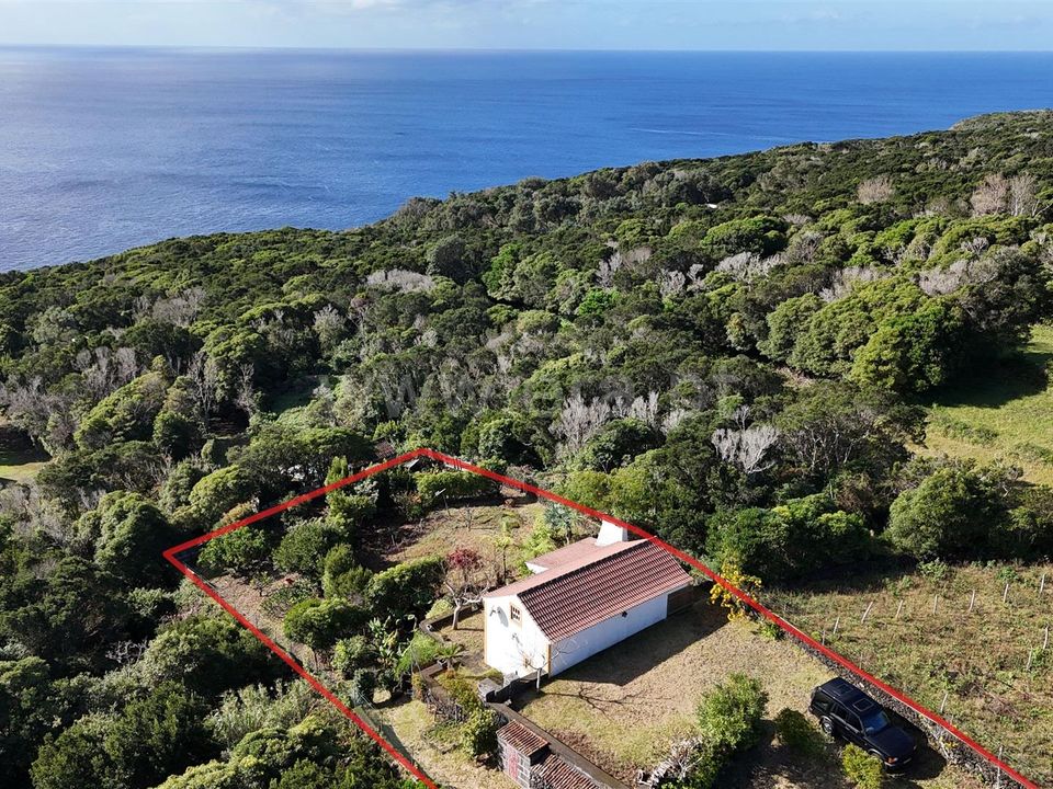 Helårsgrund i Horta, Faial - foto 5