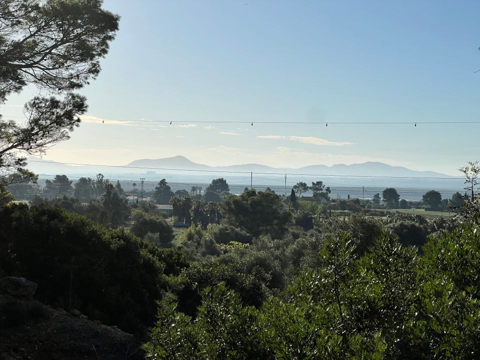Helårsgrund i Alcudia, Mallorca - foto 3