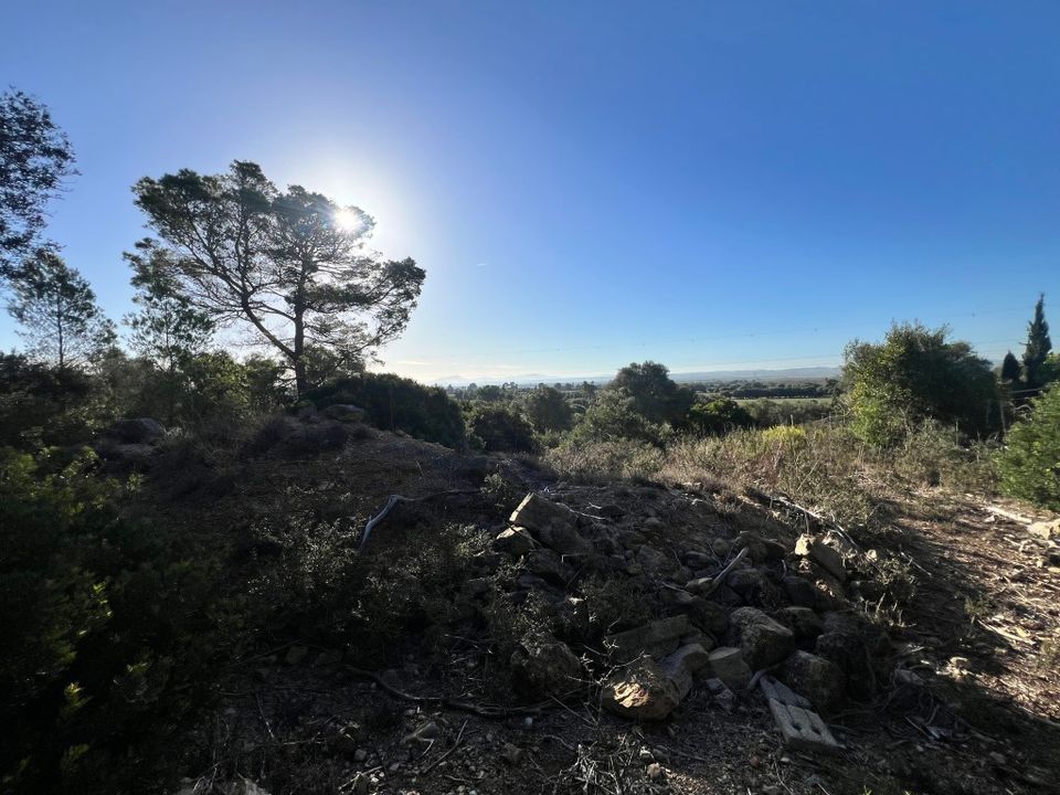 Helårsgrund i Alcudia, Mallorca - foto 4