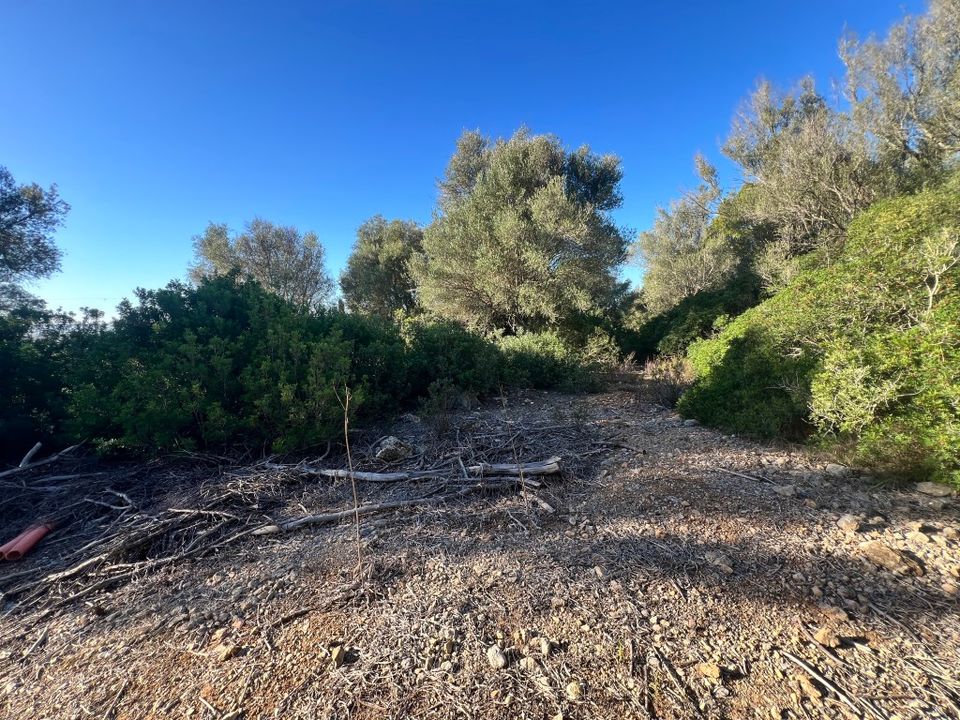 Helårsgrund i Alcudia, Mallorca - foto 5