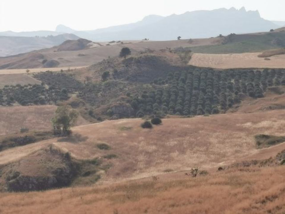 Helårsgrund i Cianciana, Agrigento - foto 4