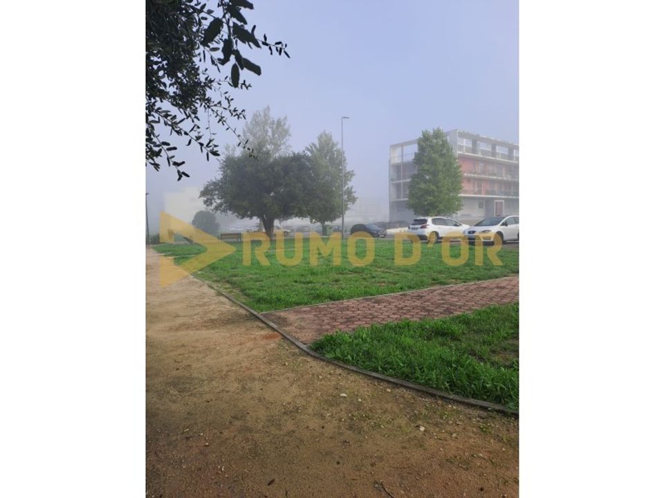 Helårsgrund i Cartaxo, Santarem - foto 4
