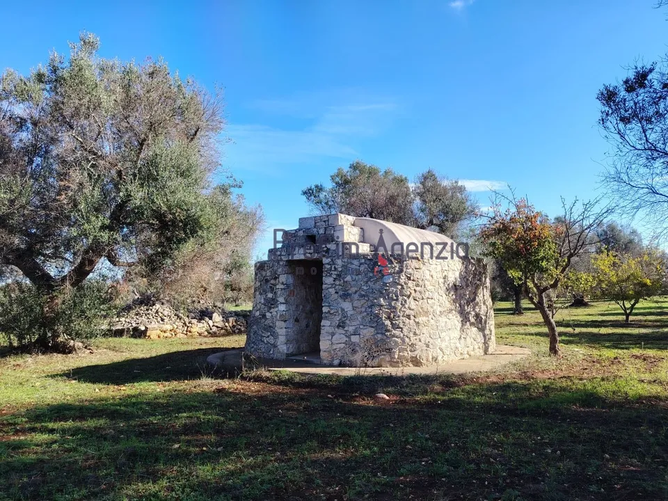 Landejendom i San Vito dei Normanni, Brindisi - foto 1