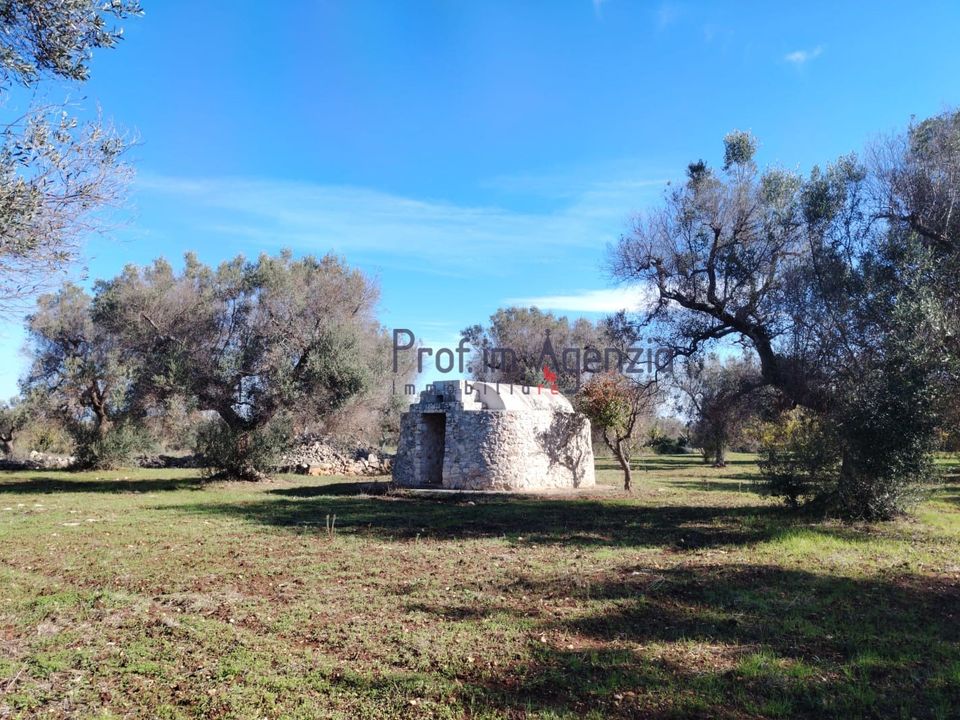 Landejendom i San Vito dei Normanni, Brindisi - foto 2