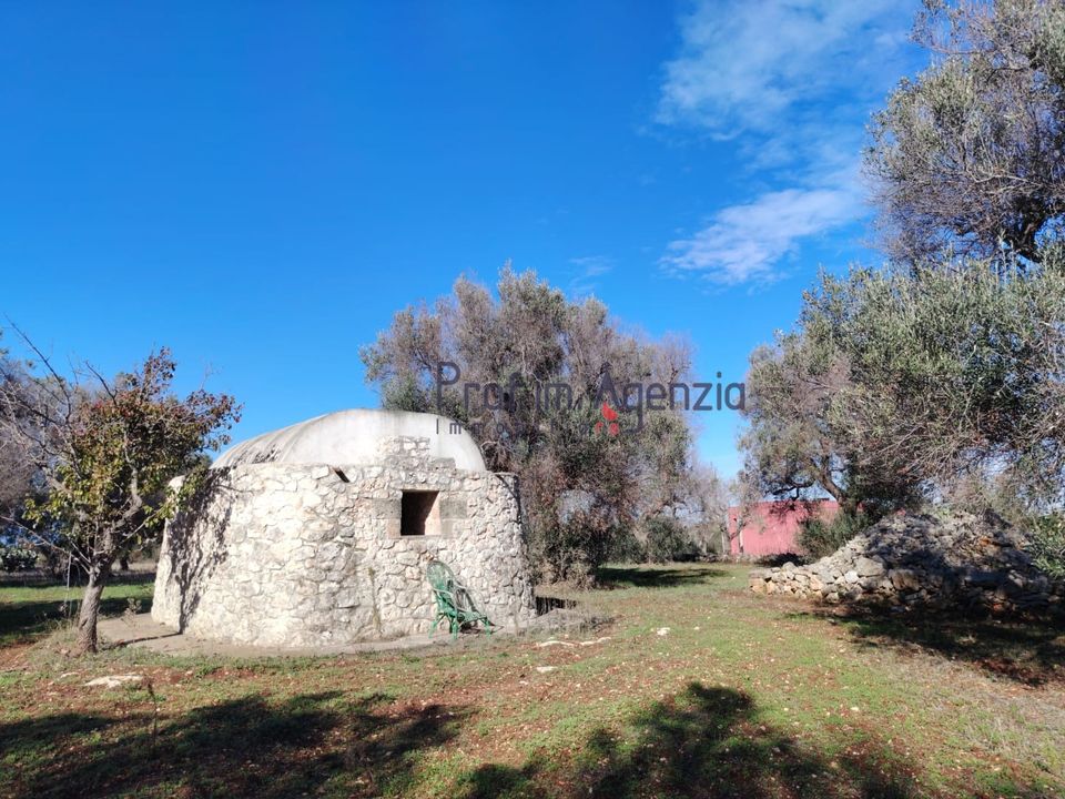 Landejendom i San Vito dei Normanni, Brindisi - foto 3