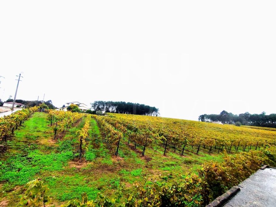 Helårsgrund i Moncao, Viana do Castelo - foto 1
