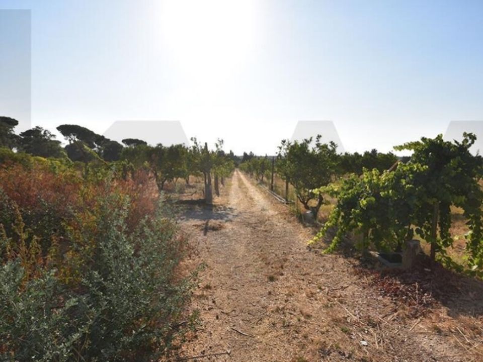 Helårsgrund i Brejos de Azeitao, Setubal - foto 3