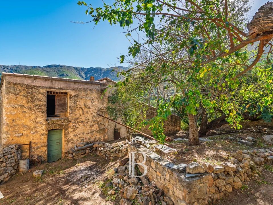Villa i L'Île-Rousse, Haute-Corse - foto 3