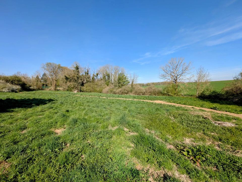 Villa i La Ferté-Gaucher, Seine-et-Marne - foto 4