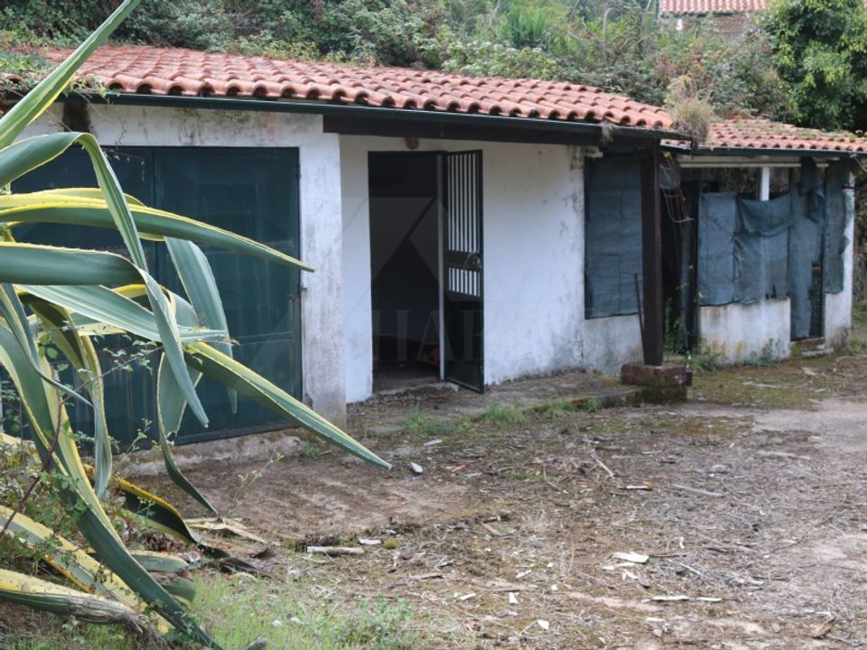 Træhytte i Valenca, Viana do Castelo - foto 3