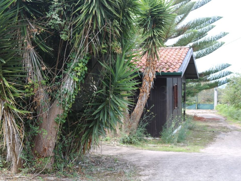 Træhytte i Valenca, Viana do Castelo - foto 4