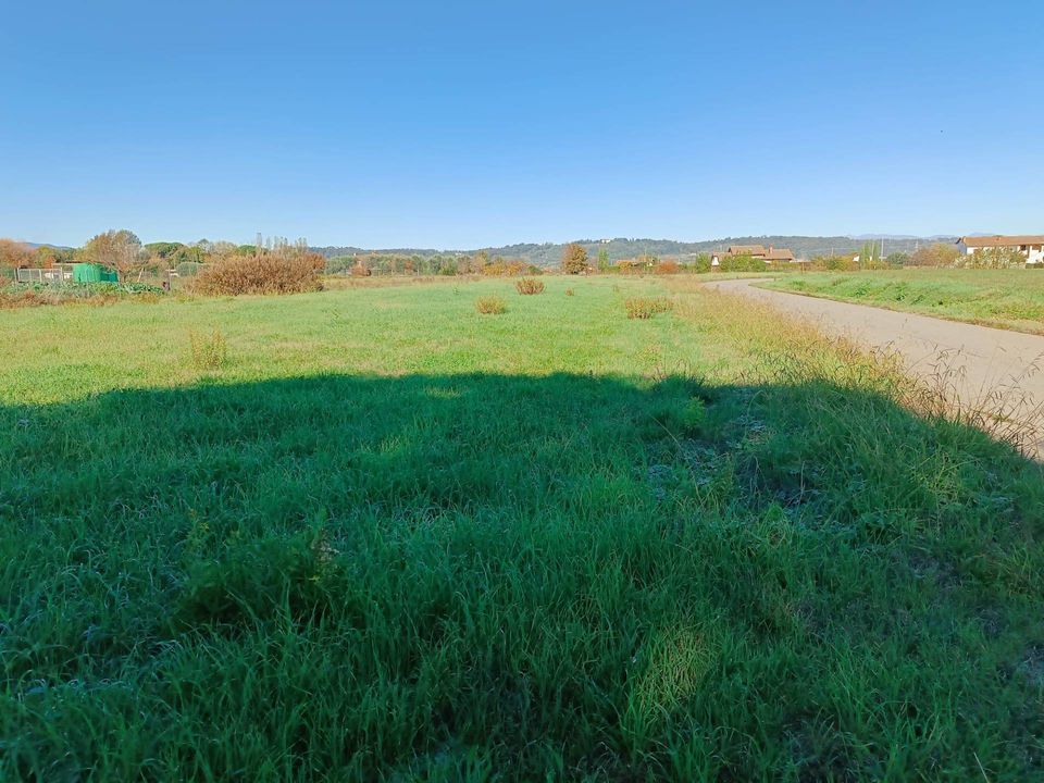 Terra a Castelfranco di Sotto, Pisa - foto 1