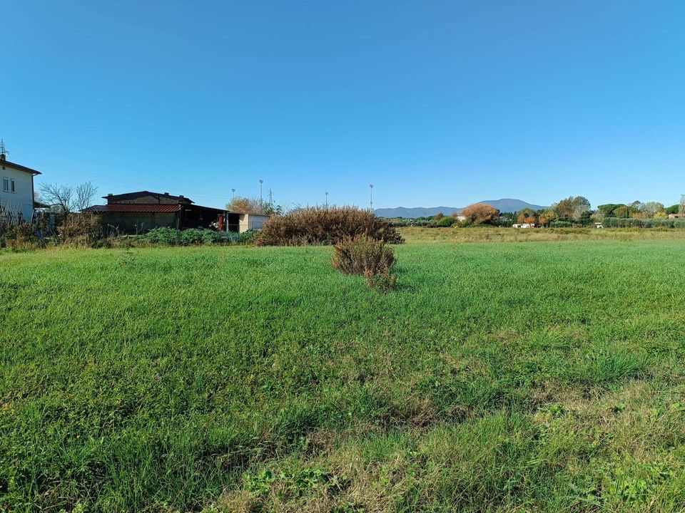 Terra a Castelfranco di Sotto, Pisa - foto 2