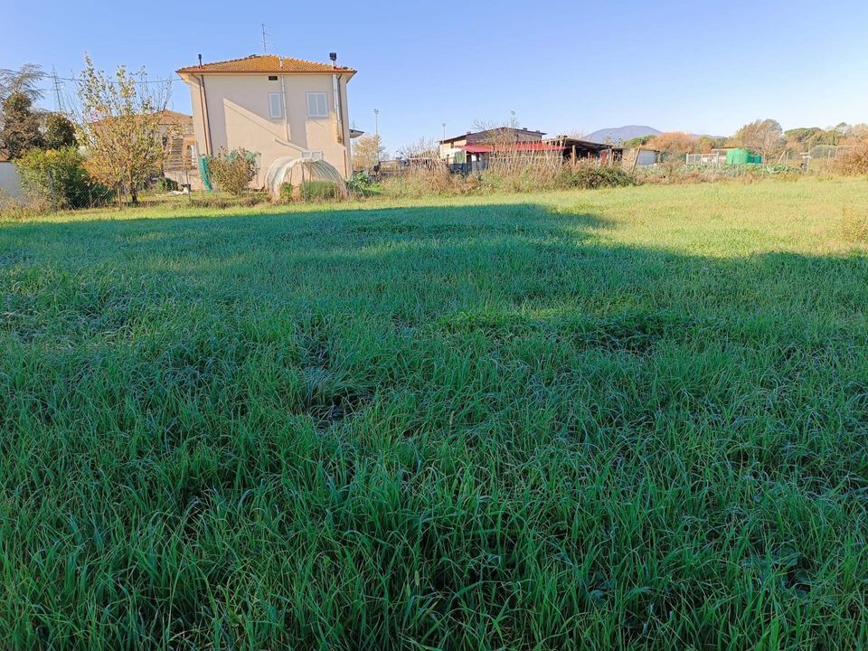Terra a Castelfranco di Sotto, Pisa - foto 3