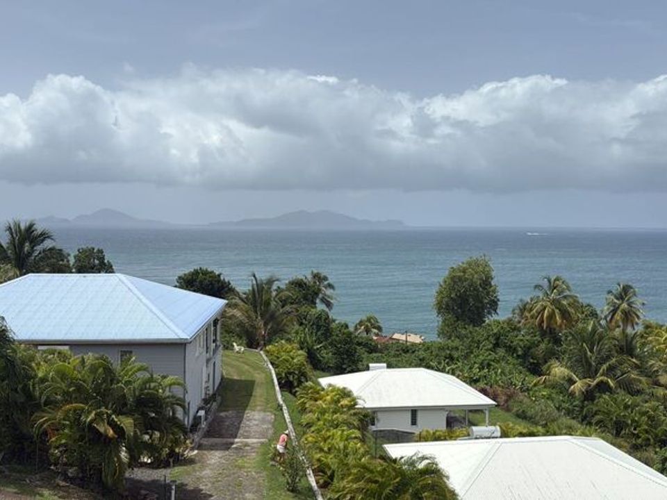 Lejlighed i Trois-Rivieres, Guadeloupe - foto 5