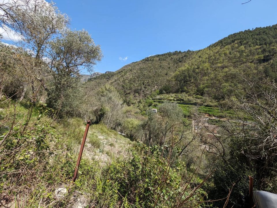 Helårsgrund i Touet-de-l'Escarene, Alpes-Maritimes - foto 3
