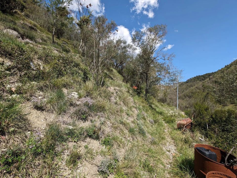 Helårsgrund i Touet-de-l'Escarene, Alpes-Maritimes - foto 4