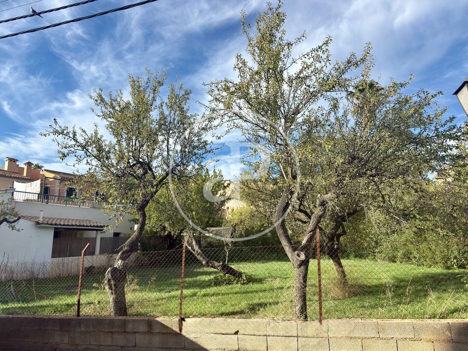 Helårsgrund i Calvia, Mallorca - foto 4