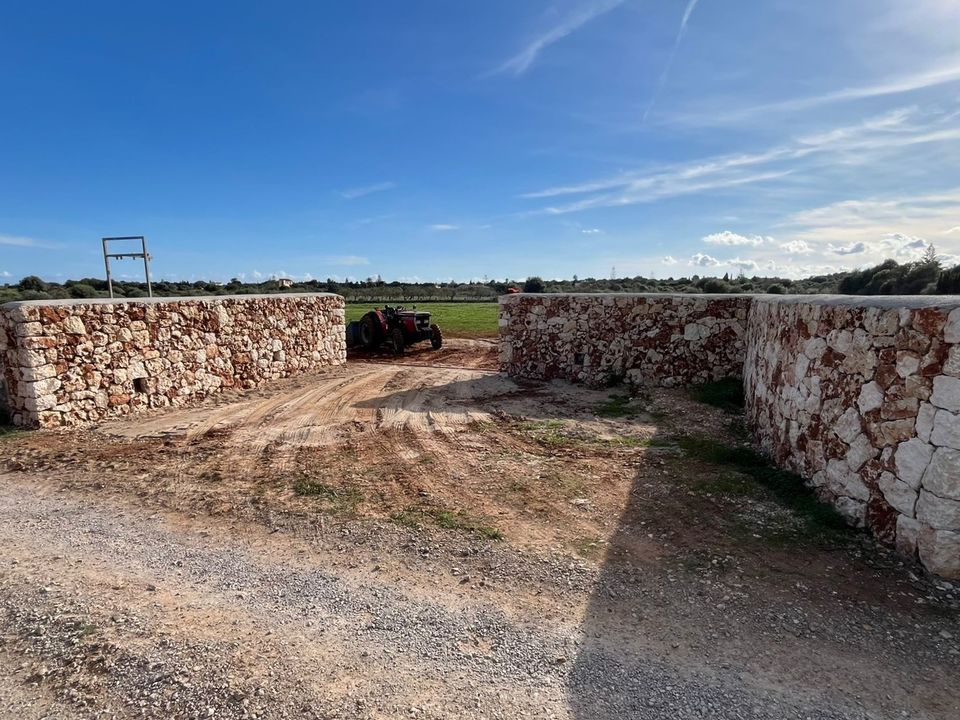 Helårsgrund i Manacor, Mallorca - foto 4